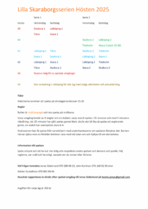 Spelschema